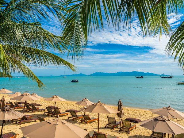 Porto de Galinhas: Um Paraíso Tropical em Pernambuco