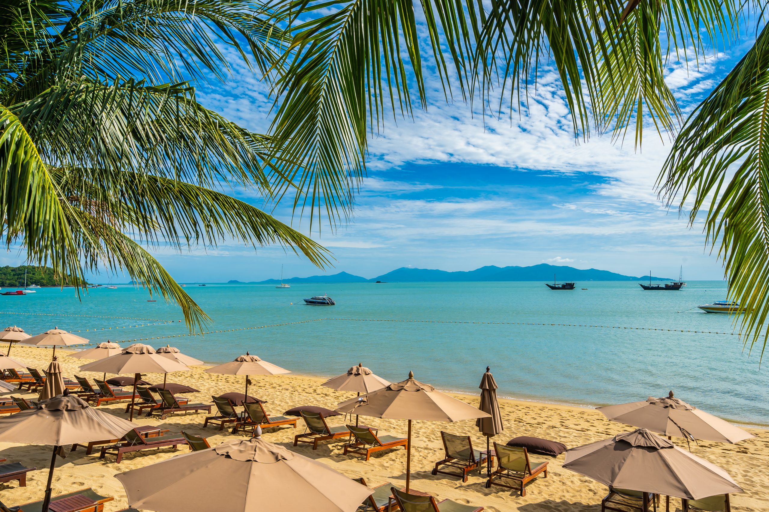 Porto de Galinhas: Um Paraíso Tropical em Pernambuco